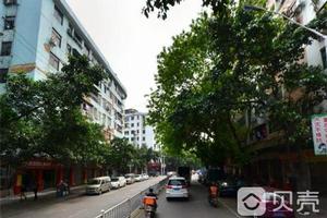 菜園中路 菜園中路