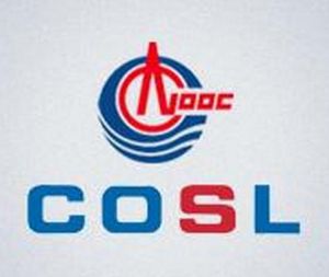 中國海洋石油技術服務有限公司 中國海洋石油技術服務有限公司