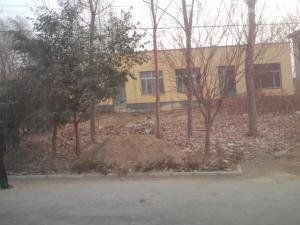 炒米店村 炒米店村