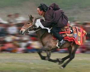 那曲賽馬節 那曲賽馬節