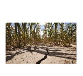 華北春旱 華北春旱