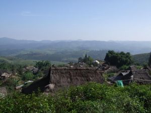 勐岡老寨村 勐岡老寨村
