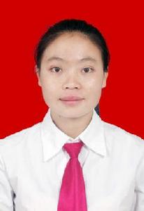 何麗玲[廣西龍州縣彬橋鄉黨委委員]