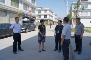 孫海燕[中共瀘縣縣委副書記]