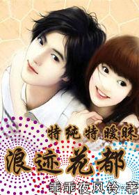 超級護花高手:浪跡花都 超級護花高手:浪跡花都