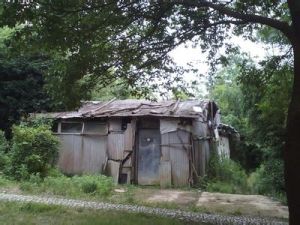 躍龍山公園 躍龍山公園
