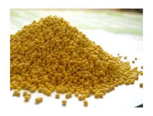 延安糜子米 延安糜子米