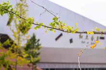 昆明理工大學法學院