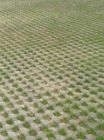 草坪磚