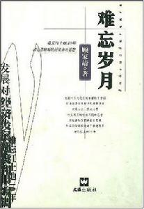 難忘歲月[小說]