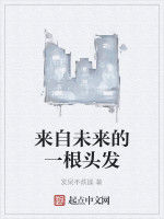 來自未來的一根頭髮 來自未來的一根頭髮