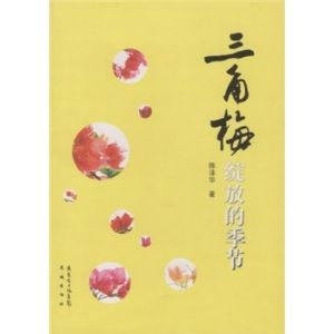 《三角梅綻放的季節》 《三角梅綻放的季節》