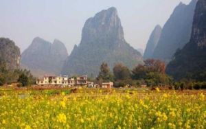 黃姚世外田園 黃姚世外田園