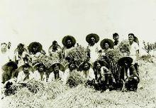 浙江師院的舊照片