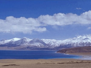 麥地卡濕地 麥地卡濕地