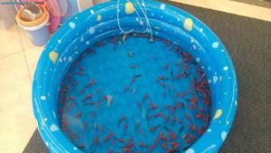 快樂童年兒童手工製作坊 快樂童年兒童手工製作坊