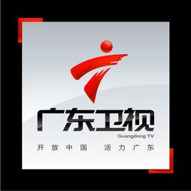 廣東電視衛視頻道