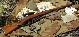 莫辛&middot;納甘步槍