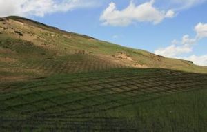 若爾蓋地塊 若爾蓋地塊