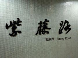 紫藤路站 紫藤路站