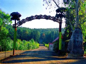 小哨野生菌生態旅遊村 小哨野生菌生態旅遊村
