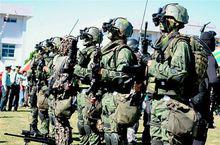 海豹突擊隊[美國特種作戰部隊之一]