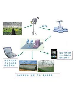 光照體視系統 光照體視系統