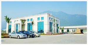 大中集團軍 大中集團軍