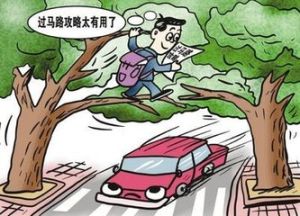 公交尊嚴 公交尊嚴