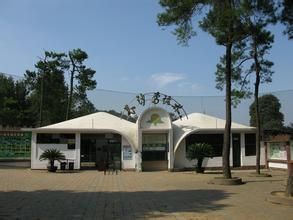 長沙鳥語林 長沙鳥語林