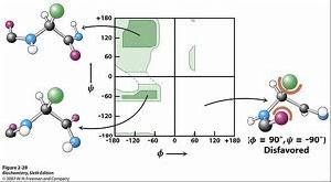 拉氏構象圖 拉氏構象圖