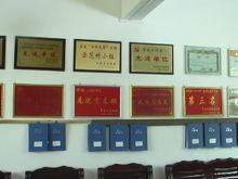 田蓬鎮榮譽獎牌圖