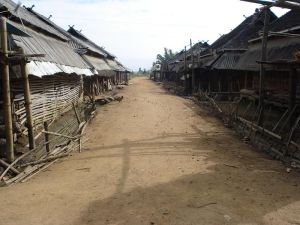 水河老寨村 水河老寨村