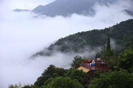大余丫山 大余丫山