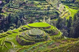 龍脊梯田 龍脊梯田