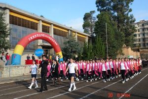 雲南旅遊職業學院