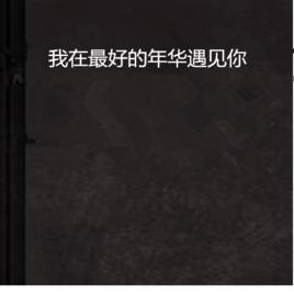 我在最好的年華遇見你 我在最好的年華遇見你