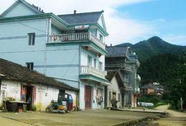 中峰村[福建省仙遊縣度尾鎮中峰村]