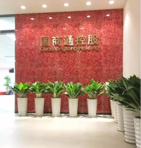 國商通控股(深圳)有限公司 國商通控股(深圳)有限公司