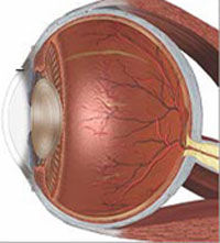 瞼板腺功能障礙
