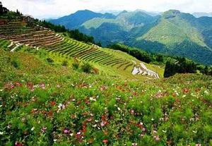 福建華安國家森林公園 福建華安國家森林公園