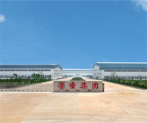 魯聖集團 魯聖集團