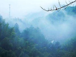 企石村[浙江紹興市新昌縣城南鄉下轄村]