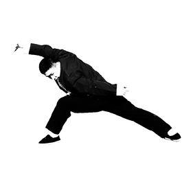 意拳站樁 意拳站樁