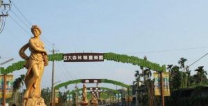 八大森林博覽樂園 八大森林博覽樂園