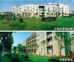 四川川大智勝軟體股份有限公司 四川川大智勝軟體股份有限公司