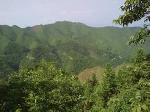 匯源瑤族鄉 匯源瑤族鄉