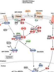 通路[行銷用語]