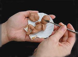 (圖)卡米拉·艾倫