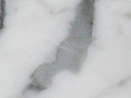 特級雪花白 特級雪花白